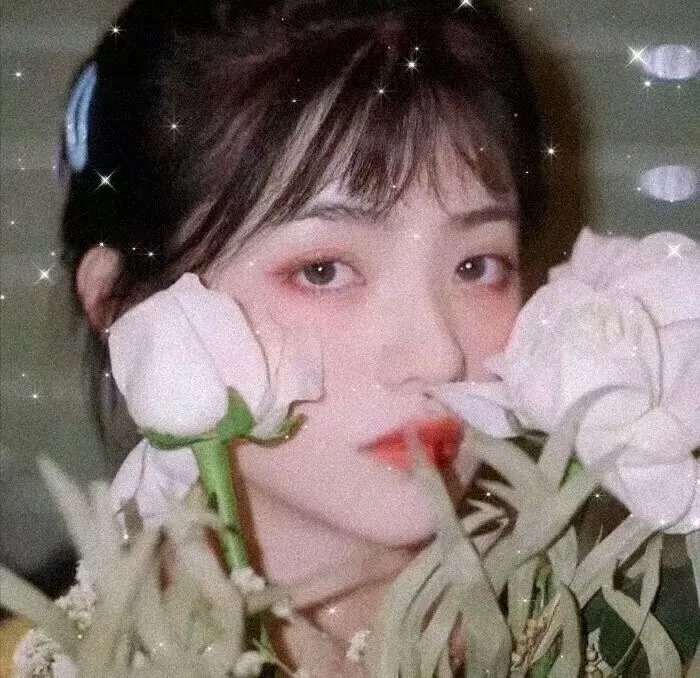 夜凛神探第一季